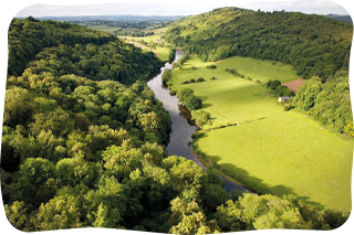 Forest and hills at the Welsh border