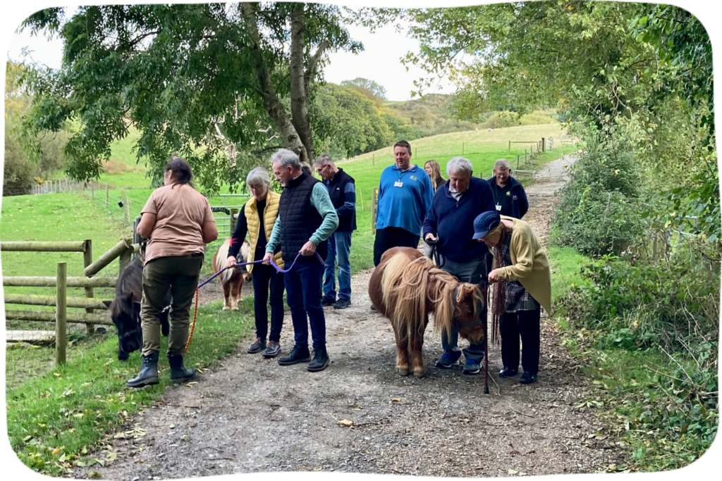 Group of people on a walk with ponies.