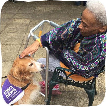 Lawnfield House Therapaws visit