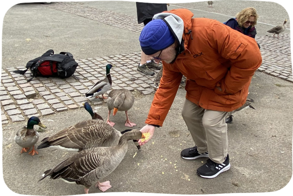 A man in an orange coat and blue hat leans down to feed ducks and Canadian geese.