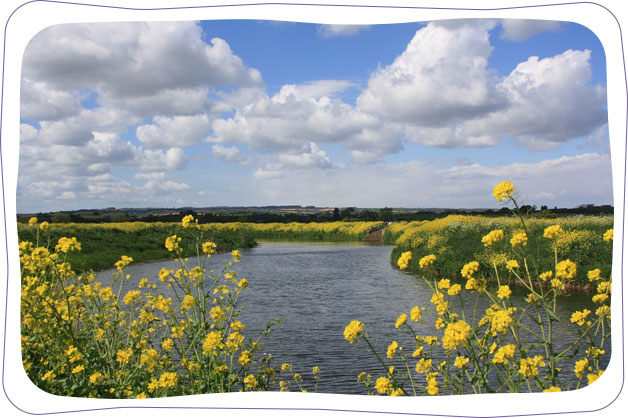 river-and-countryside-view